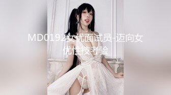 MD0192女优面试员-迈向女优性技考验