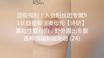 顶级福利！入会粉丝团专属91长腿翘臀淫妻母狗【诗妍】露脸性爱自拍，野外露出车震各种情趣制服啪啪 (24)