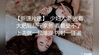 新年约的小女人