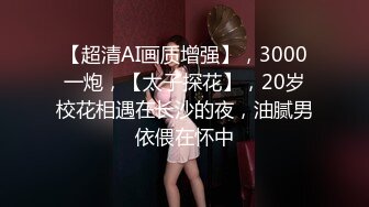 星之迟迟 2023年12月计划C – 明日奈同人女仆