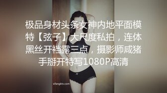 端庄优雅的沙欧福