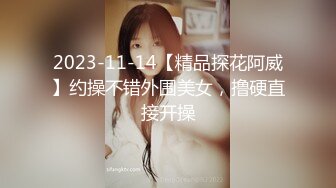 [高清中文字幕] SNIS-517 國寶級巨乳女優宇都宮紫苑改名RION重新出發