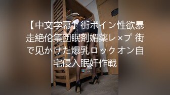 【中文字幕】街ボイン性欲暴走絶伦集団眠剤媚薬レ×プ 街で见かけた爆乳ロックオン自宅侵入眠奸作戦