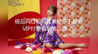 极品网红母狗【美杜莎】最新VIP付费福利第二弹 (5)