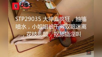 终于艹到女神的逼了