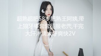 嘉豪先生调教母狗