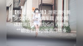 沈樵新作《小姨子勾引帅气警察姐夫》国语中文字幕