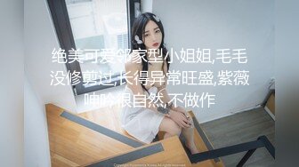 东京美臀美胸的小母狗5