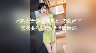 骚老婆呗电动玩具和真JJ一起操