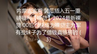 ❤️旗袍诱惑❤️ 气质且淫荡  玉乳美腿   撅着大肥臀求操【36V】 (18)