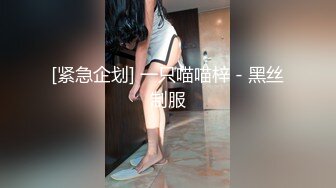 [紧急企划] 一只喵喵梓 - 黑丝制服