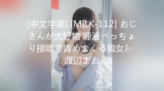 [原创] 验证视频，2023年的最后一次活塞运动