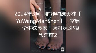 2024年3月，推特约炮大神【YuWangManShen】，空姐，学生妹良家一网打尽3P极致淫靡2