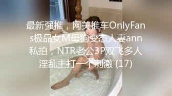 最新强推，网美推车OnlyFans极品女M母狗变态人妻ann私拍，NTR老公3P双飞多人淫乱主打一个刺激 (17)