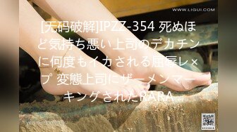 「国产AV主题秀——我眼中的极品美乳」完美乳型小姐姐主题合集⑦【20V】 (8)