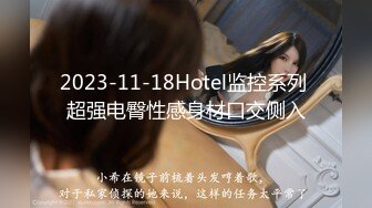 2023-11-18Hotel监控系列 超强电臀性感身材口交侧入