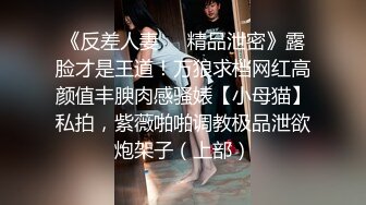 鄂尔多斯小女人的生活