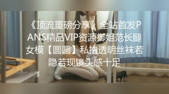 《顶流重磅分享》全站首发PANS精品VIP资源御姐范长腿女模【圆圆】私拍透明丝袜若隐若现镜头感十足