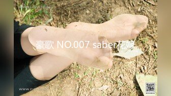 豪歌 NO.007 saber花嫁