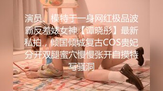 国产精品186在线观看在线播放