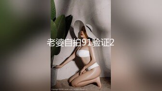 衡阳石鼓大叔手持视角