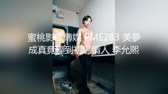 STP28603 星空传媒最新出品母狗or女王 - 幻想温柔乡反差老婆两级反转 VIP0600