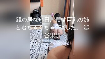 新晋美女主播，北京极品车模下海，【醉舞烟花赏花容】户外露出，车震