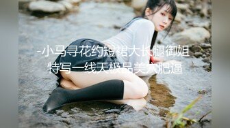 -小马寻花约短裙大长腿御姐 特写一线天极品美穴肥逼