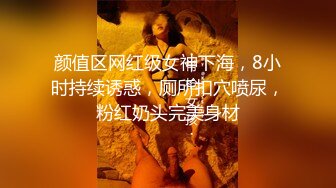 推特S級身材巨乳小兔子露出車震飯館與眾男混戰／韻味少婦去同事公寓偷情口硬粗大肉棒無套抽插內射等 720p