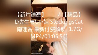 【新片速遞】  ❤️√ 【精品】D先生与C小姐 StockingsCat 南理香 最新付费解锁 [1.7G/MP4/01:05:54]