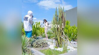 Tinderbox 1