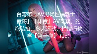 Anal Device Bondage IV 鉄拘束アナル拷問 西田カリナ